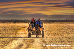 botswana, gaborone, photographer, photography, donkey, Jwaneng, Orapa.